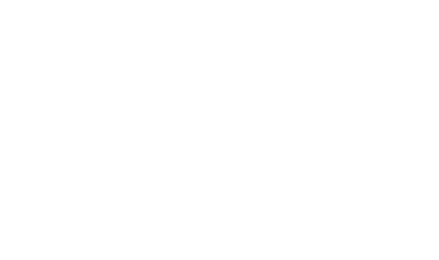 IRIDESENSI logo